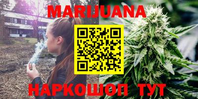 прущие грибы Шахты