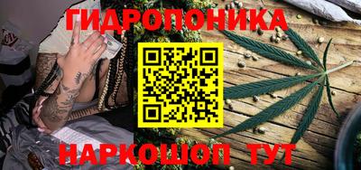 прущие грибы Шахты