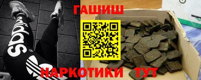 прущие грибы Шахты
