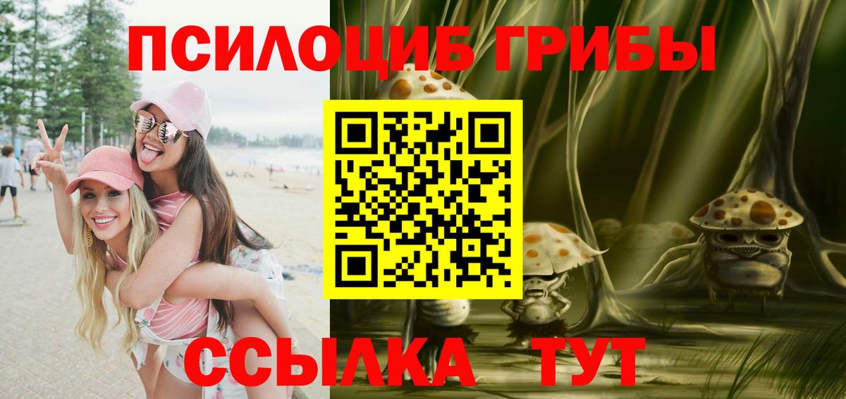 Псилоцибиновые грибы Cubensis  Вход с VPN  Кропоткин  Галлюциногенные грибы Psilocybe 
